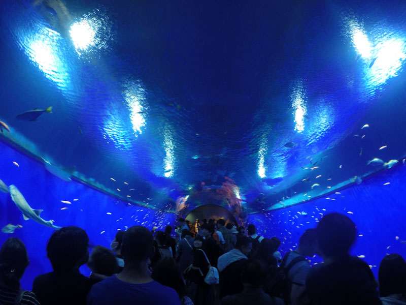 Aquário Kaiyukan Osaka