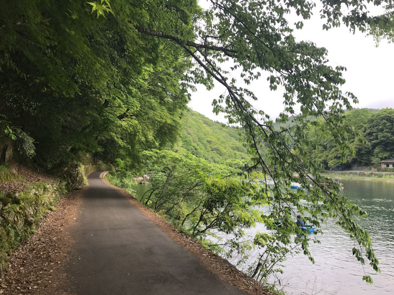 Arashiyama - Bamboo Forest Kyoto