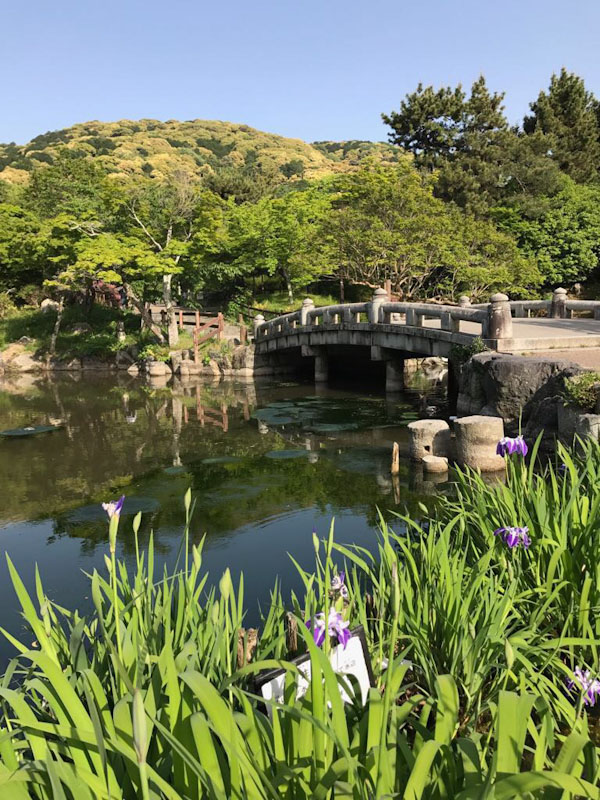 Jardim Japones Quioto Japão