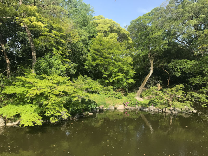 Jardim Japones Quioto Japão