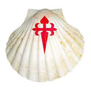 Vieira Caminho de Samtiago