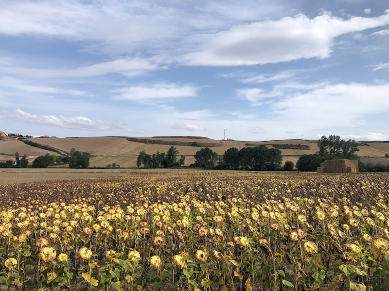 Caminho de Santiago de Compostela