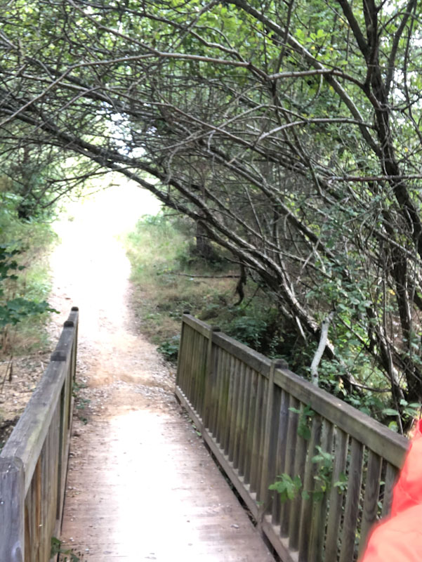 Caminho de Santiago de Compostela