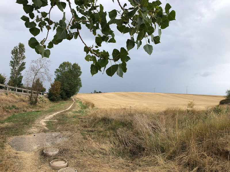 Caminho de Santiago de Compostela