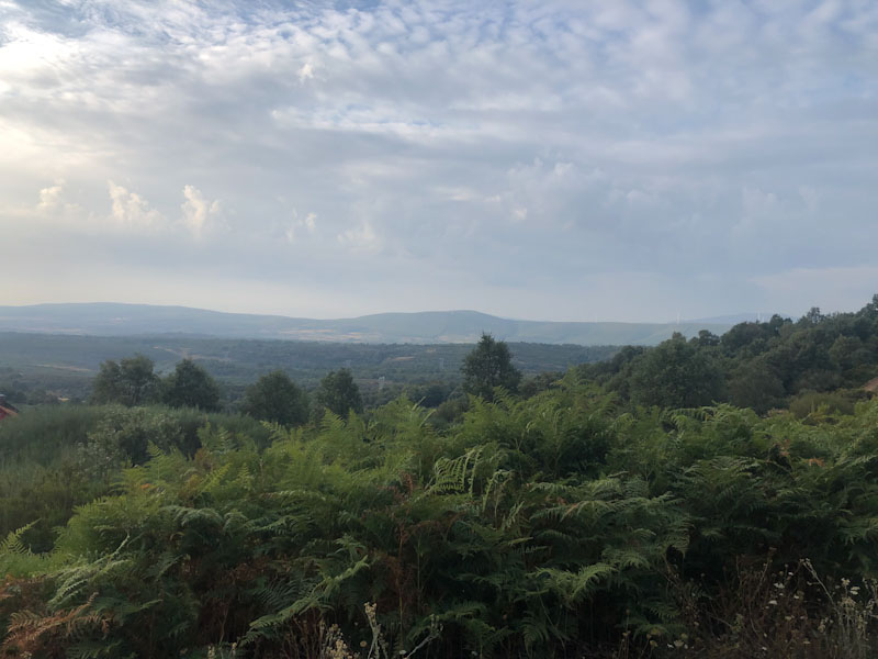 Caminho de Santiago de Compostela 