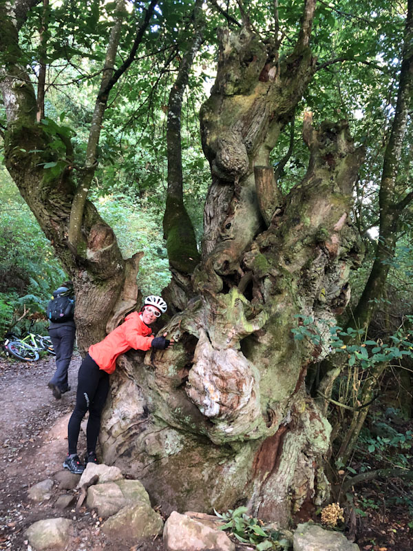 Caminho de Santiago de Compostela 