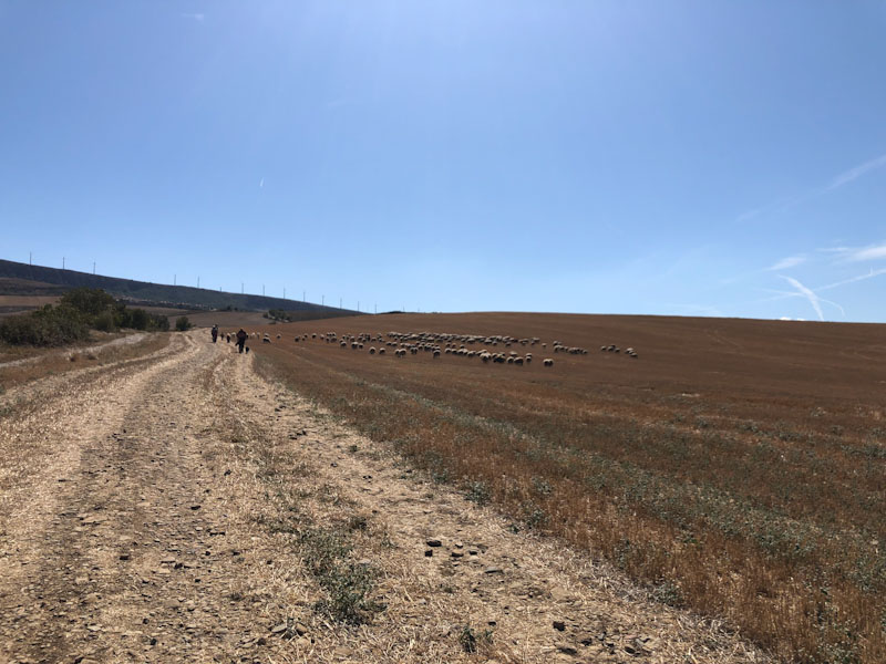 Caminho de Santiago de bike - alto do perdão
