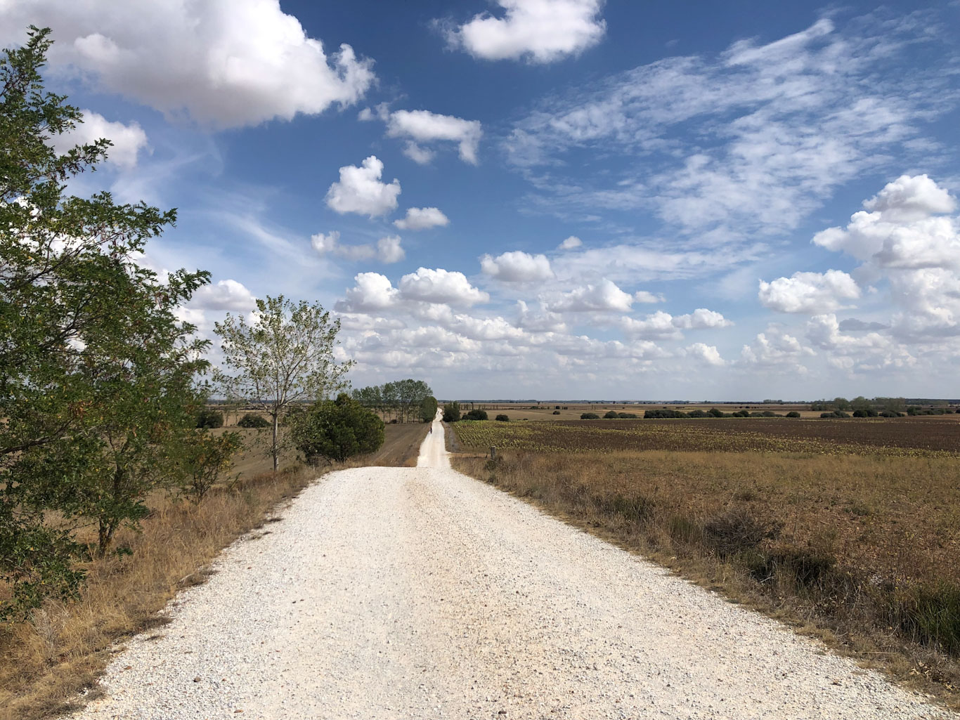 Caminho de Santiago de Compostela