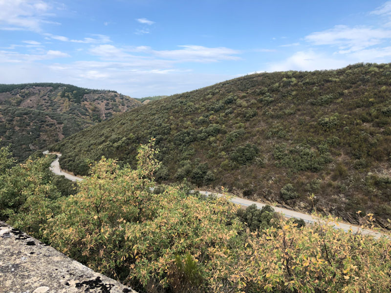 Caminho de Santiago de Compostela 