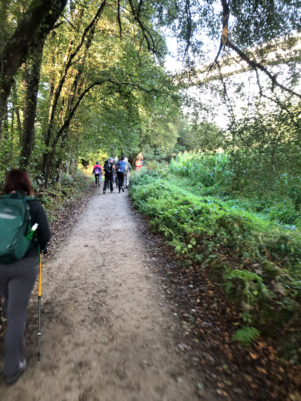 Caminho de Santiago de Compostela 