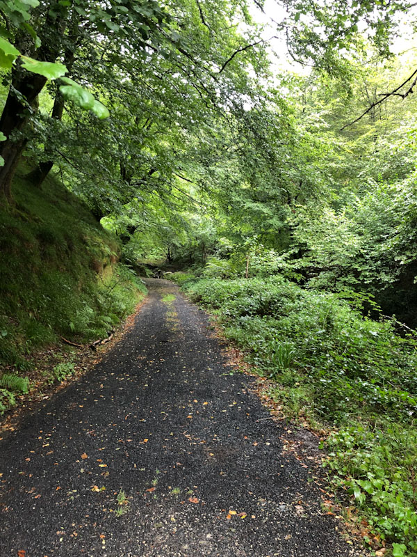 caminho de santiago pirineus