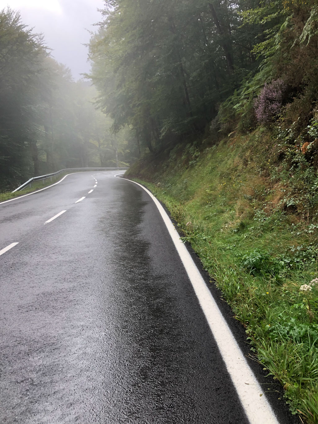 caminho de santiago pirineus