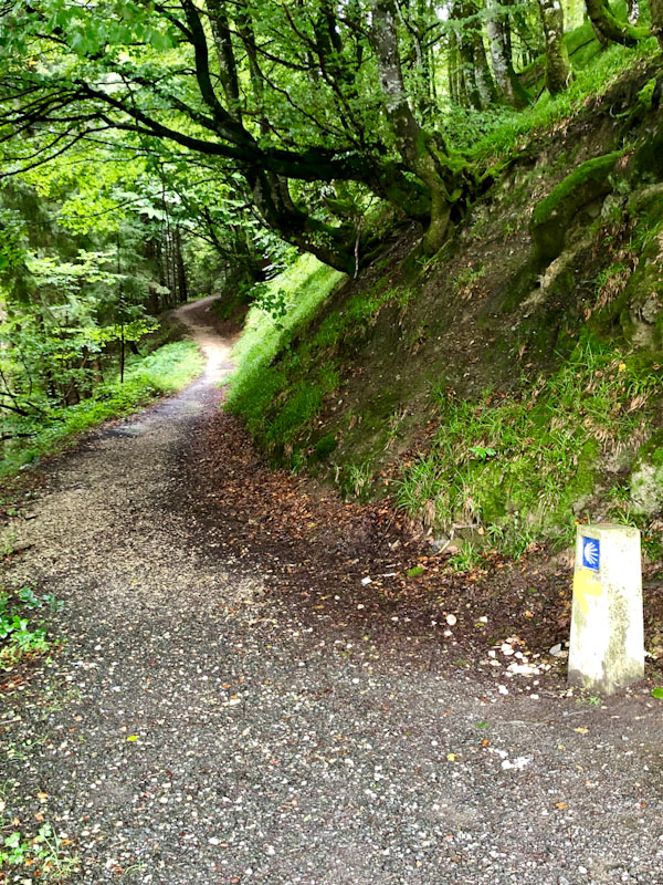 caminho de santiago pirineus