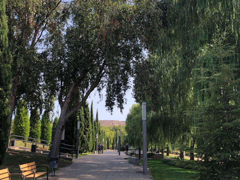 Logrono Caminho de Santiago