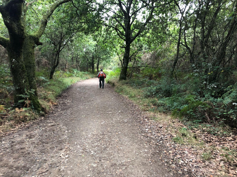 Caminho de Santiago de Bike