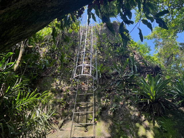 Mirante do Gato Castelhanos Ilhabela