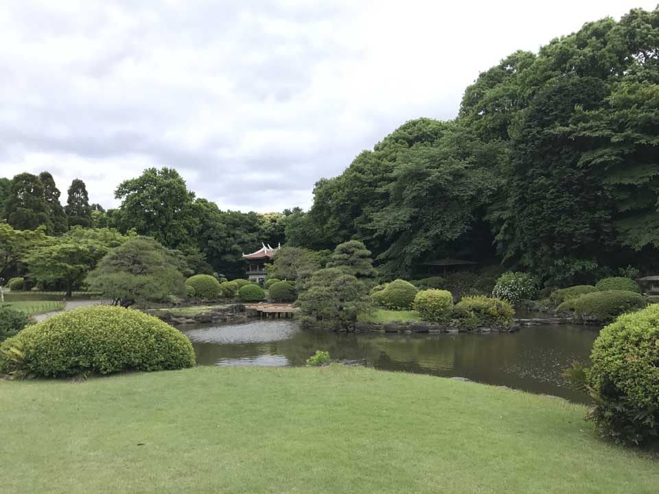 Shinjuku gyoen national garden