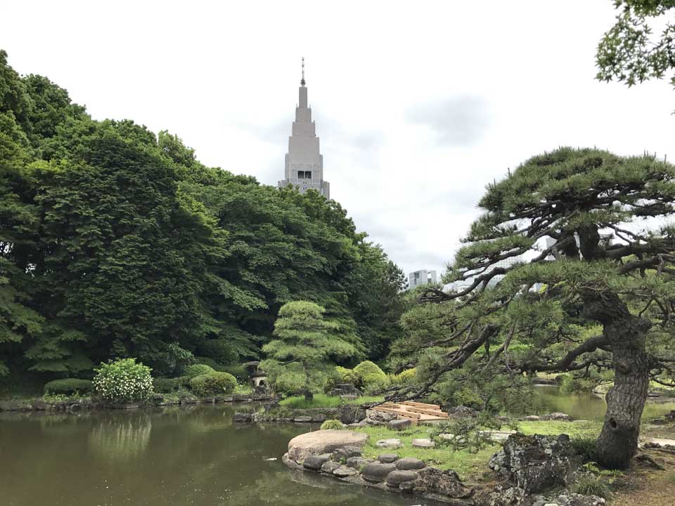 Shinjuku gyoen national garden