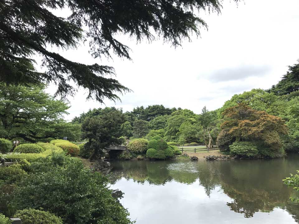 Shinjuku gyoen national garden