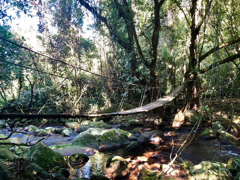 Trilha Cachoeira do Gato Ilhabela