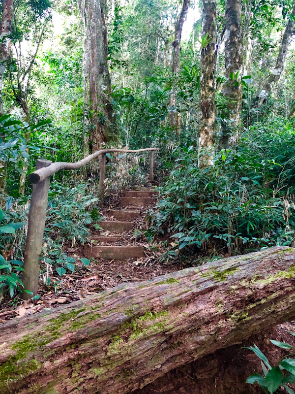 Trilha Pico do Baepi Ilhabela