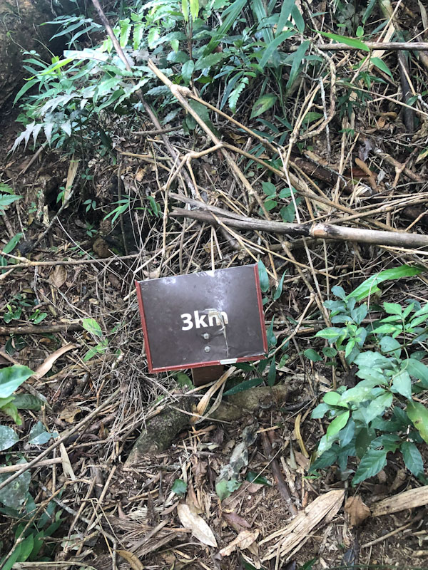 Trilha Pico do Baepi Ilhabela