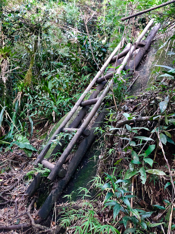 Trilha Pico do Baepi Ilhabela