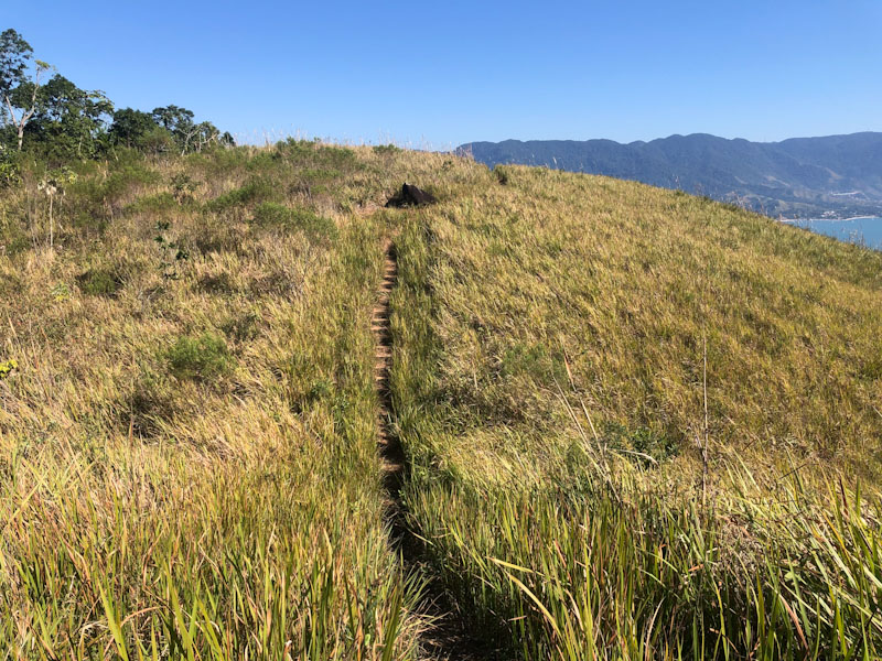 Trilha Pico do Baepi Ilhabela