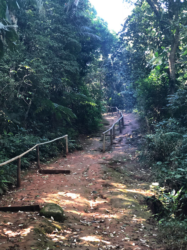 Trilha Praia Vermelha Ilhabela