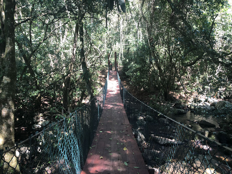 Trilha Praia Vermelha Ilhabela