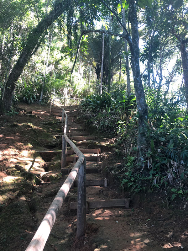 Trilha Praia Vermelha Ilhabela