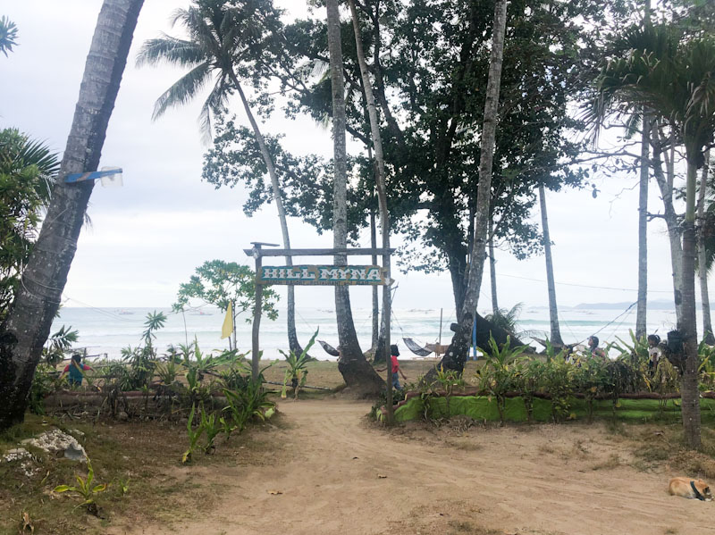 Hill Myna Beach Sabang