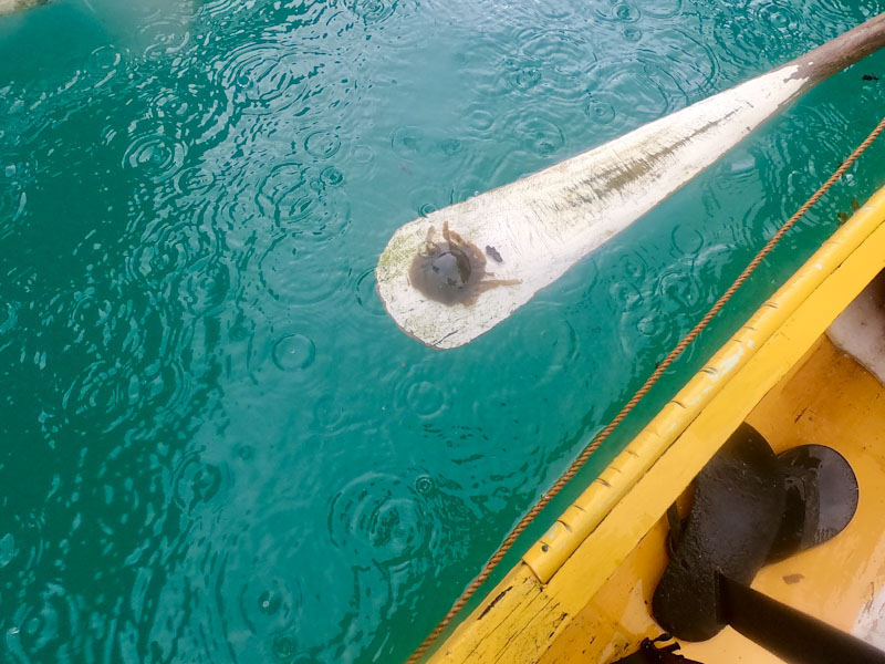 Sohoton Cove Siargao