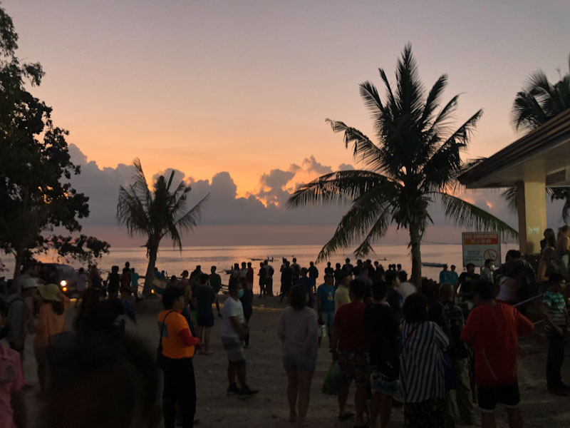 Oslob Mergulhar com tubarão baleia