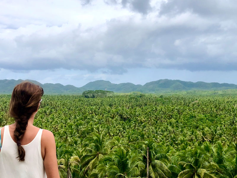 Siargao Mountain View