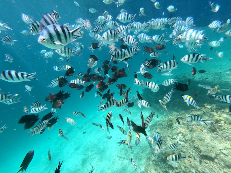 Skeleton Wrecks Coron