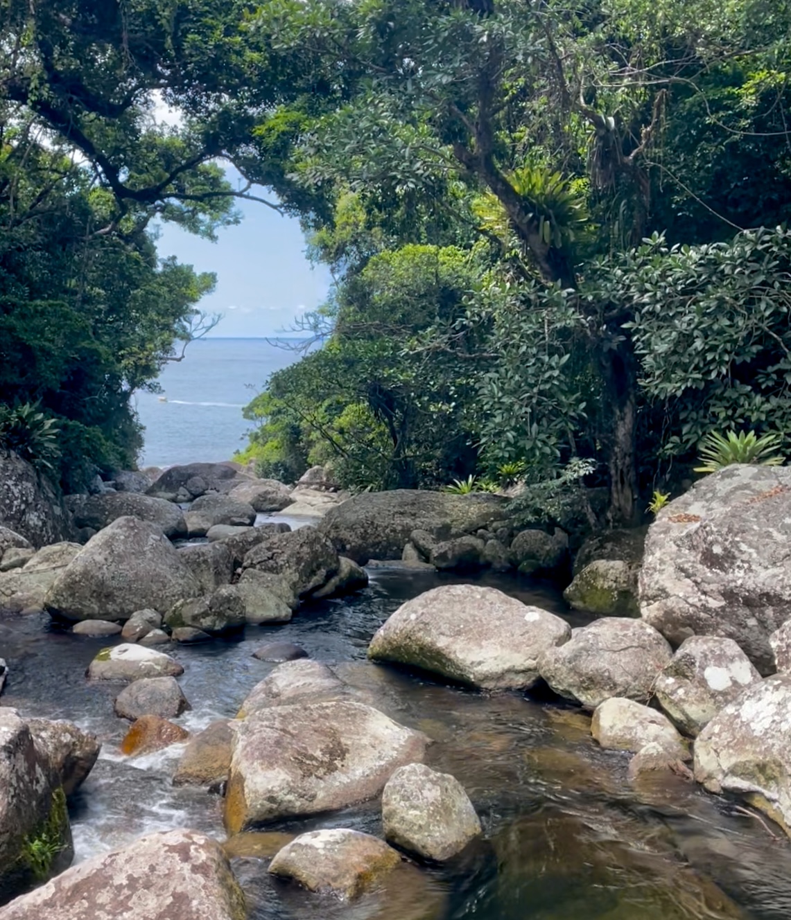 Fazenda da Lage ilhabela 