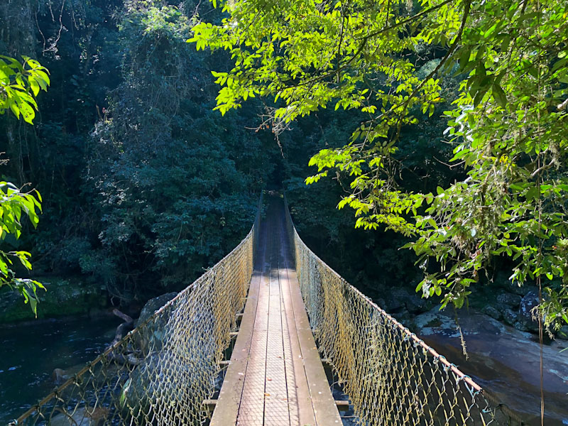 Trilha Cachoeira da Lage Ilhabela