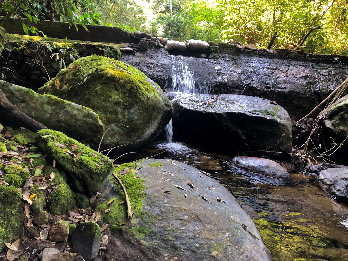 cachoeira do Engenho D Agua Ilhabela