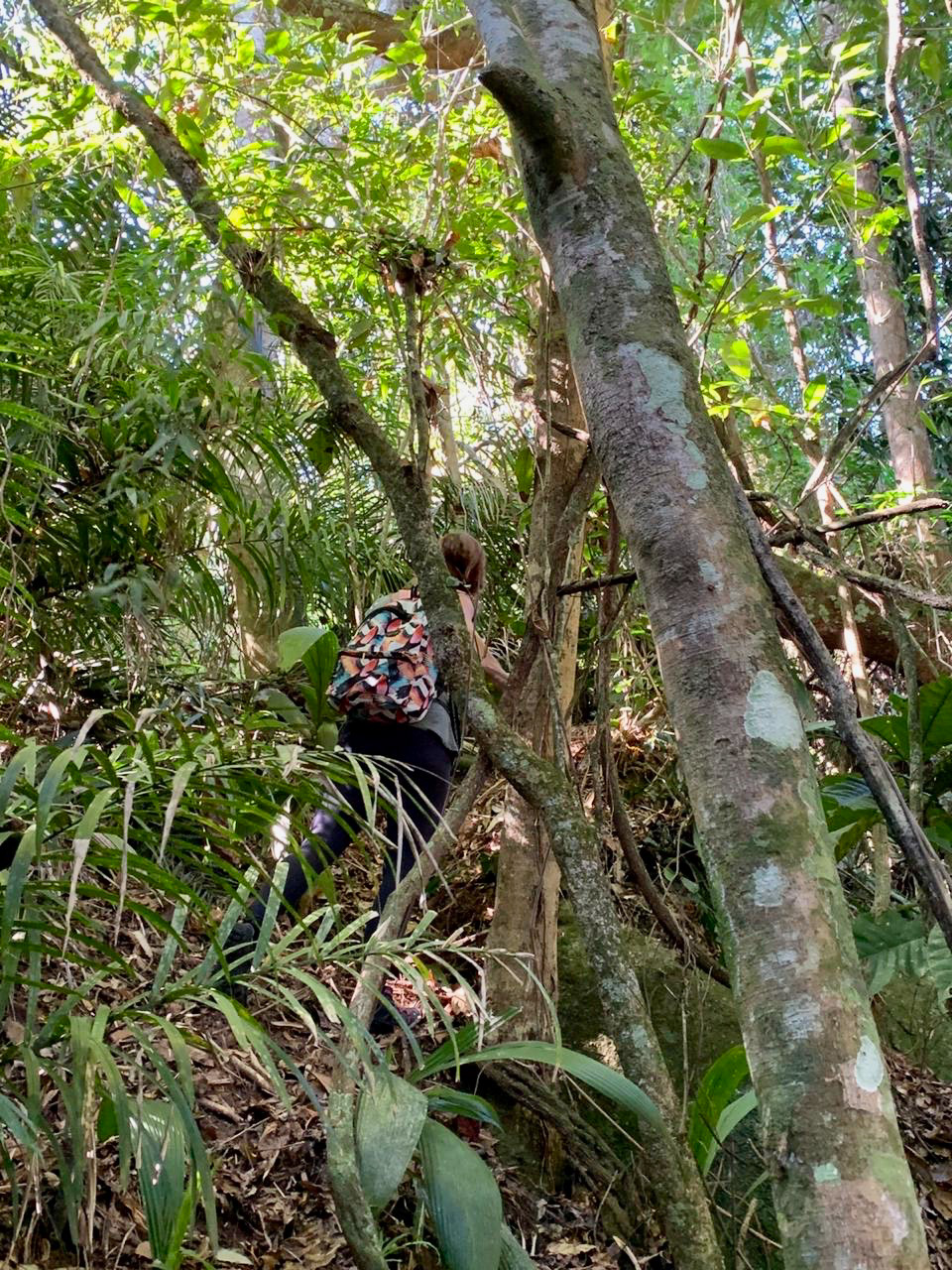cachoeira do Engenho D Agua Ilhabela