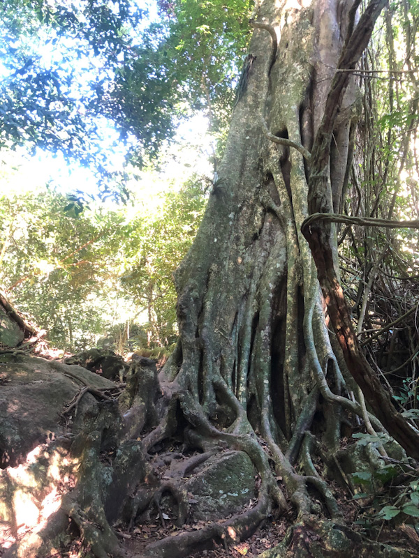 cachoeira do paqueta ilhabela