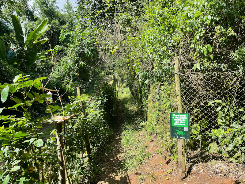 Cachoeira do Veloso Ilhabela