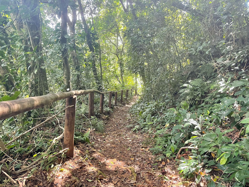 cachoeira do veloso ilhabela