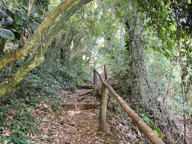 Cachoeira do Veloso Ilhabela