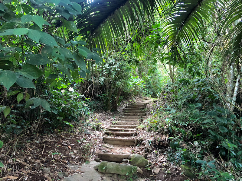 cachoeira dos 3 tombos ilhabela