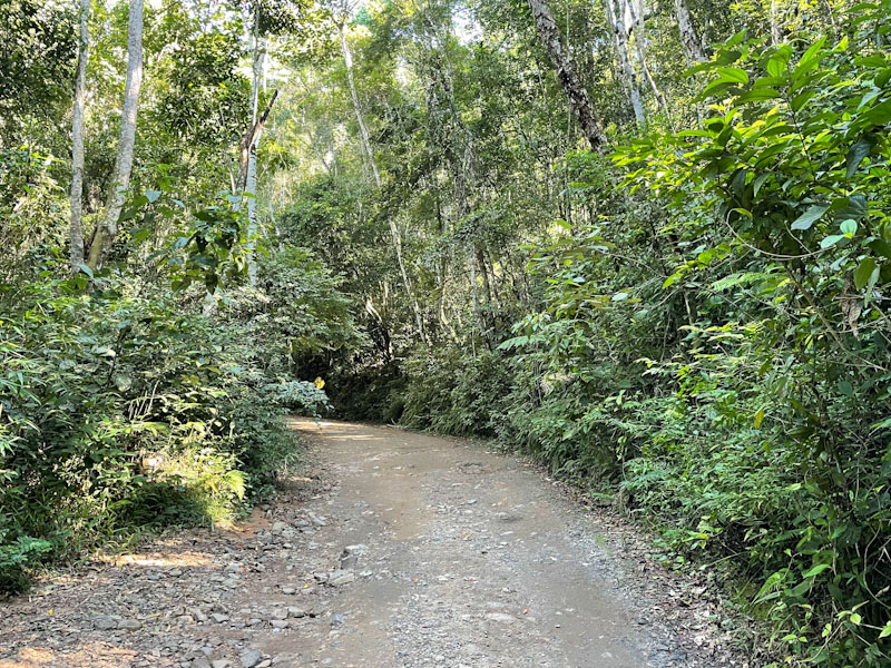 estrada de castelhanos ilhabela