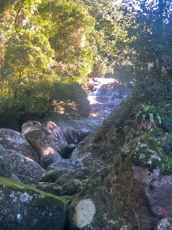 trilha cachoeira da lage Ilhabela