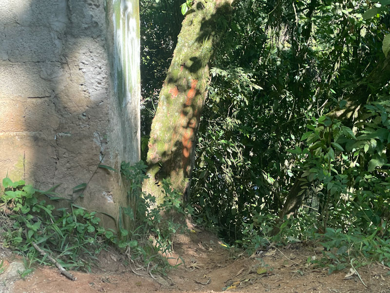 cachoeira da sabesp ilhabela