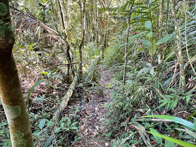 cachoeira sabesp ilhabela
