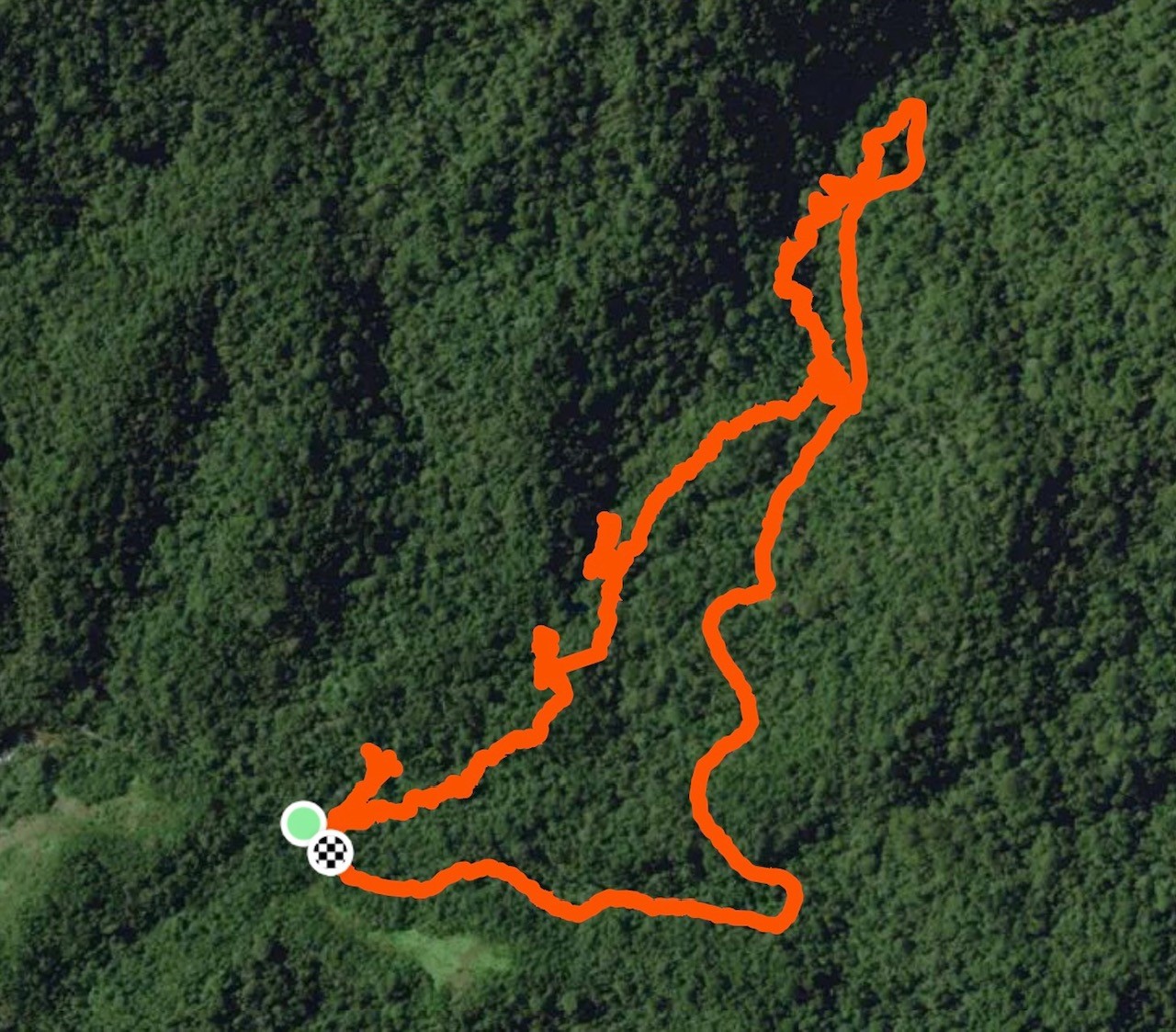 trilha agua branca ilhabela